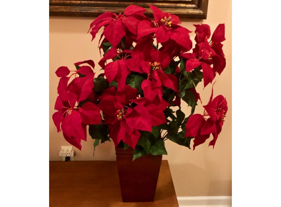 Premier Poinsettia Extra Large - Red Plant