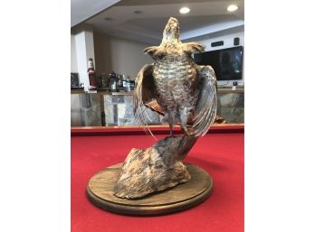 Ruffed Grouse Taxidermy Bird Mount