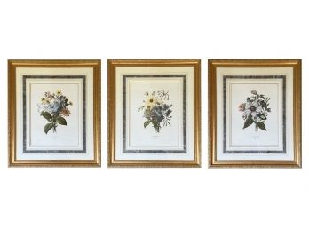 Trio Of Oudart Botanical Lithographs