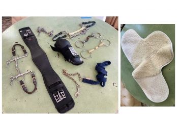 Assorted Equestrian Accessories