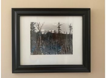 Framed Nature Photo Signed McClain (?) 2003