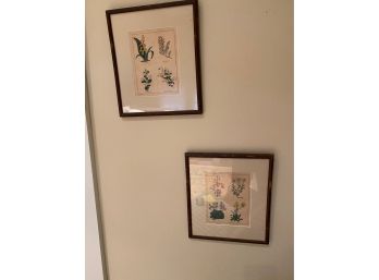 Lot Of 2 Botanical Prints In Wood Frames