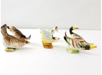 Lot Of Exotic Ceramic Birds Salt And Pepper Shakers