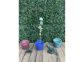 Colorful Planters And Frog Candle Holders