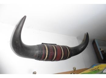 Bull Horn Taxidermy Stout Dude Leather Hand Carved Band Apx 2 Feet