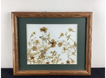 Framed Dried Flowers