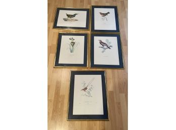 Lot Of 5 Assorted Bird Prints