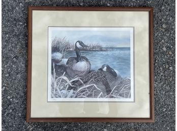 A Framed Waterfowl Lithograph