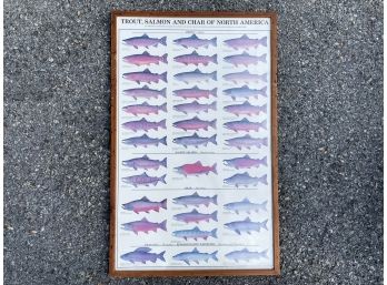 Fish Themed Framed Art