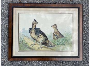 A Framed Lithograph