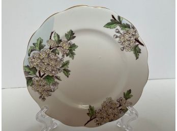 Vintage Royal Albert Bone China Hand Painted Flower Of The Month Series Plate #5 'Hawthorn'