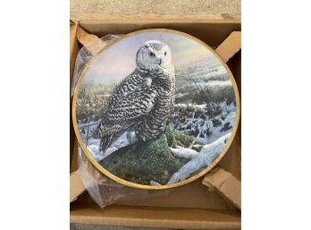 Collector Plate - Owl - With Box