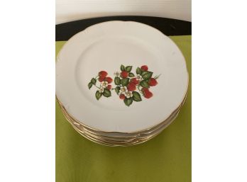 Lovely Fine China Set Of Luncheon Plates