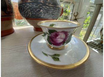 Stunning Teacup And Saucer - Rosenthal