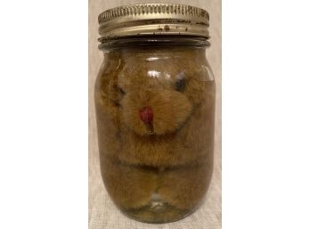 Unusual Weird Pickled Pet In A Mason Jar Teddy Bear Mr Kenny Law