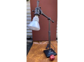 Adjustable Goose Neck Angle Artists Architects Industrial Lamp