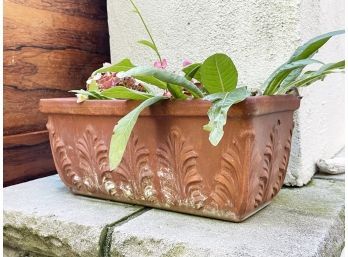 A Terra Cotta Planter