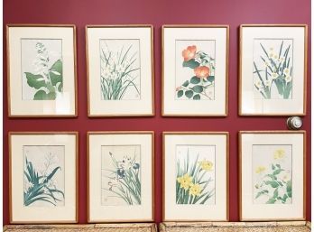 A Large Collection Of Vintage Framed Botanicals