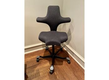 HAG Capisco Saddle Chair, Model 8106