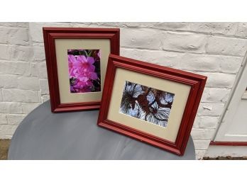 2 Nature Photos Matted And Placed In Cherry Colored Wood Picture Frames - Nice