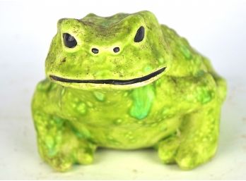 Warty Frog Garden Friend