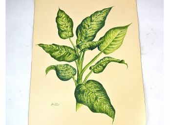 Vibrant, Well-Rendered Watercolor Fern Plant On Cold Press Art Paper; Signed Ron Turri