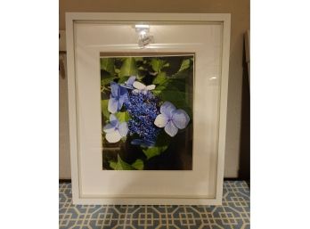 Floral Frame