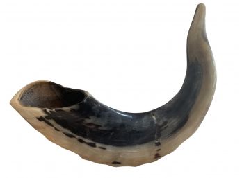 Vintage Ram's Horn Shofar From Israel