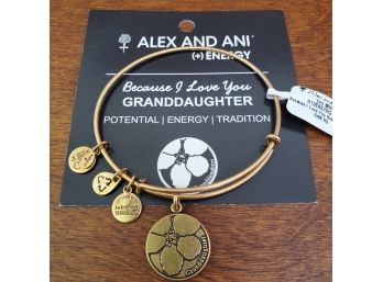 New Old Stock Alex & Ani Because I Love You Granddaughter Bangle