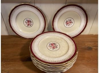 Johnson Bros England Pareek 12 Beautiful Dinner Plates