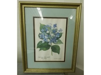 Hydrangea Print