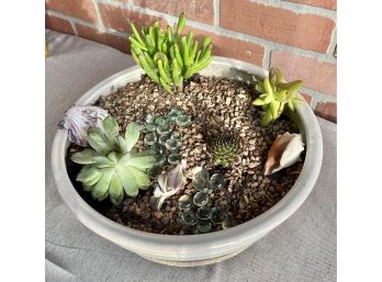 Planter With Live Succulents