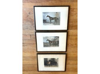 Three Engraved Horse Prints