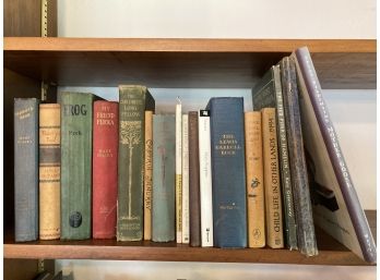 Group Of Vintage Children's Books