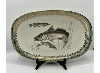 Hutschenreuther Arzberg Fine Porcelain Fish Platter