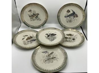 6 Hutschenreuther Arzberg Fine Porcelain Fish Plates