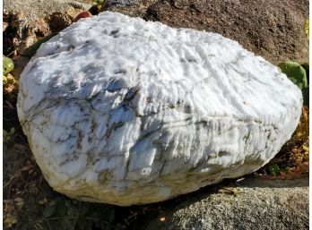 Great White Sparkly Garden Accent Stone With Grey / Black Veins