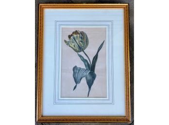 Framed Floral Drawing