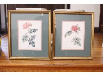 Pair Of Framed Botanical Prints