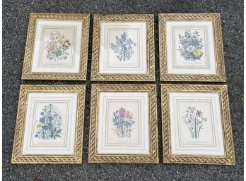 A Series Of 6 Vintage Botanical Prints