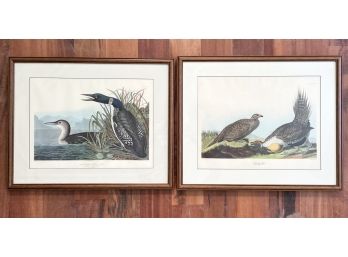 A Pair Of Audubon Engravings