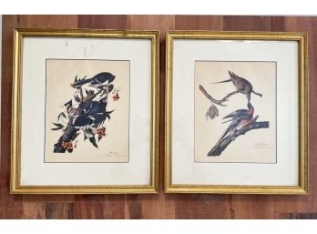 A Pair Of Audubon Prints