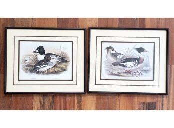 Framed Wildfowl Prints