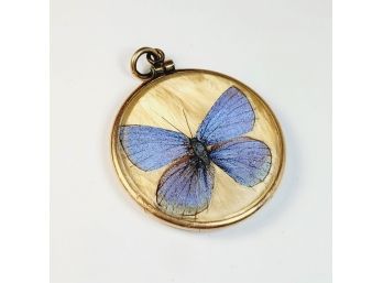 Antique 2 Sided Victorian Real Butterfly Wing Pendant Under Domed Glass