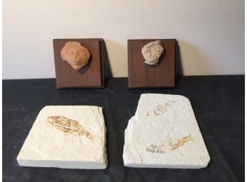 Mexican Pottery From 300AD And 800AD, Plus Fossilized Fish In Sedimentary Slate