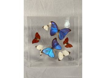Beautiful Vintage Mounted Butterfly Display In Acrylic  Signed 87