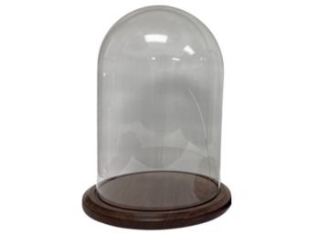 Glass Cloche Display Dome With Wood Base