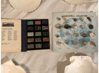 Collection Of Stones And Shells USSR Stone Collection 8x4 Open