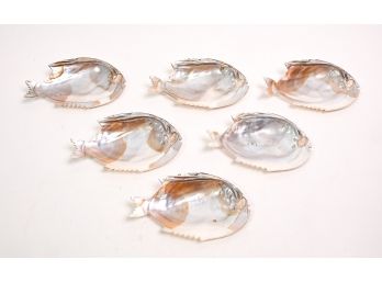 Set Of Six Abalone Shell Fish Dishes