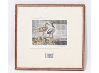 Robert Bateman Mallard Couple 1985 Signed Print